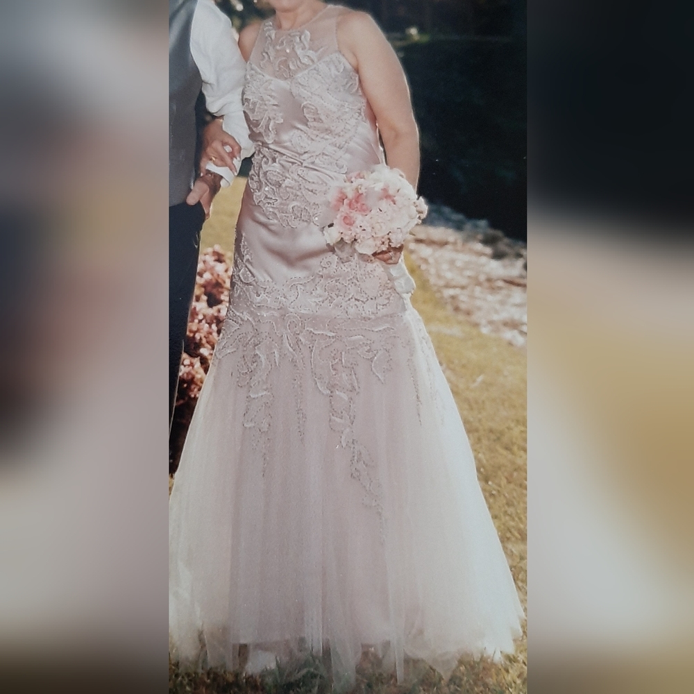 Stunning Sue Wong Mauve gown size 6